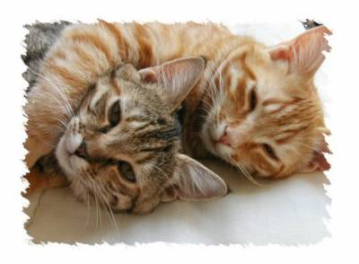 Tres mignon
